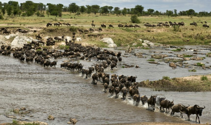 A Guide to Tanzania’s Northern Circuit