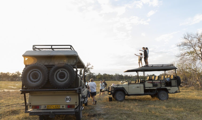 Planning a Safe and Authentic African Safari with Exceptional Wildlife Encounters