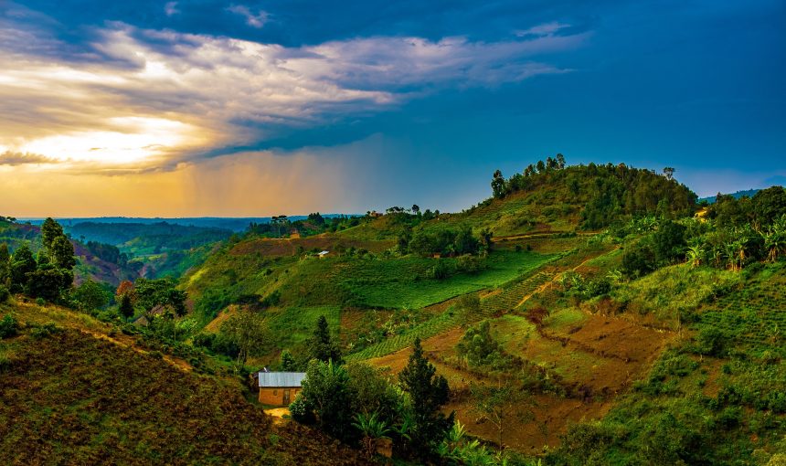 Is Uganda Good for Safaris? An Honest Guide