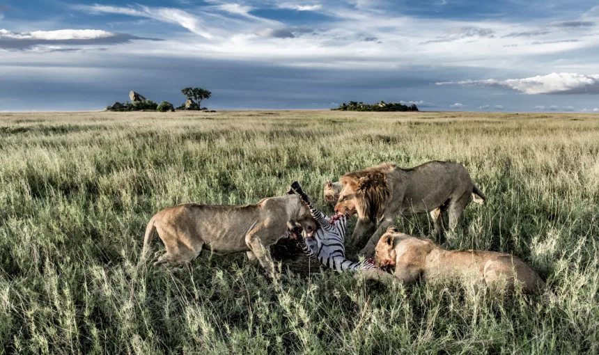 Sunrise Above the Serengeti—What It’s Like on an African Safari Hot Air Balloon Ride