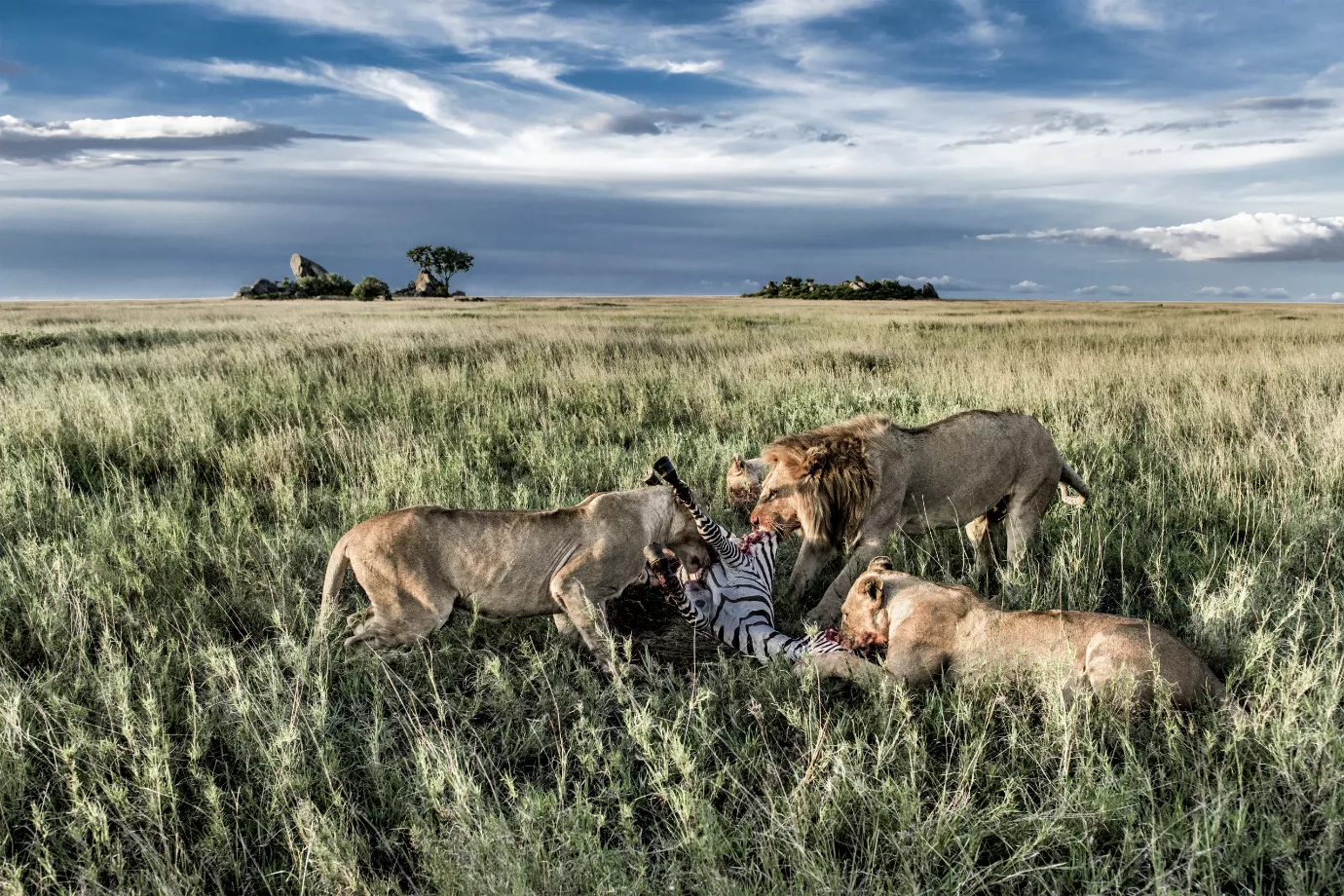 Sunrise Above the Serengeti—What It’s Like on an African Safari Hot Air Balloon Ride