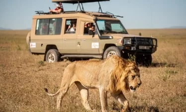  7-Day Tanzania Luxury Safari