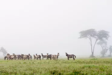 private safari Tanzania