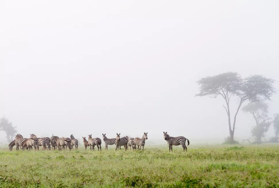 private safari Tanzania