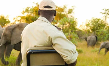 10-Day From Kenya to Tanzania – Mid-Range